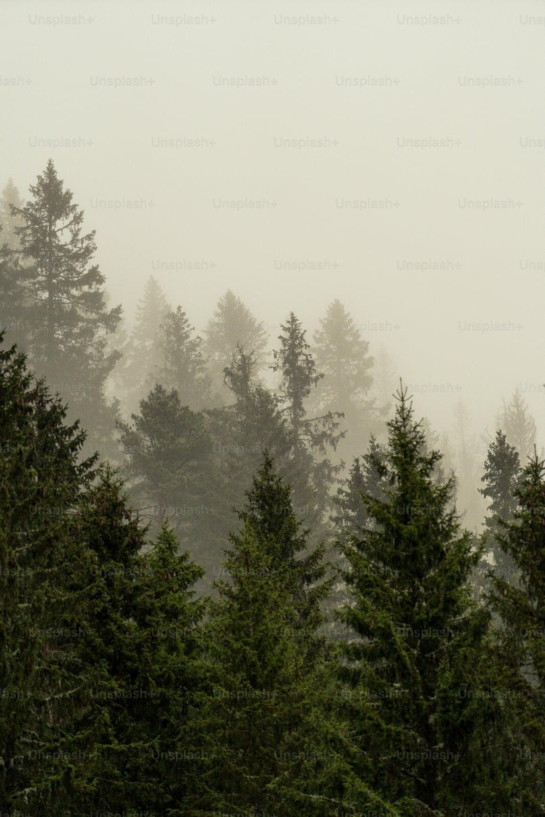 FinCorp Banner Image